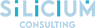 Silicium Consulting GmbH